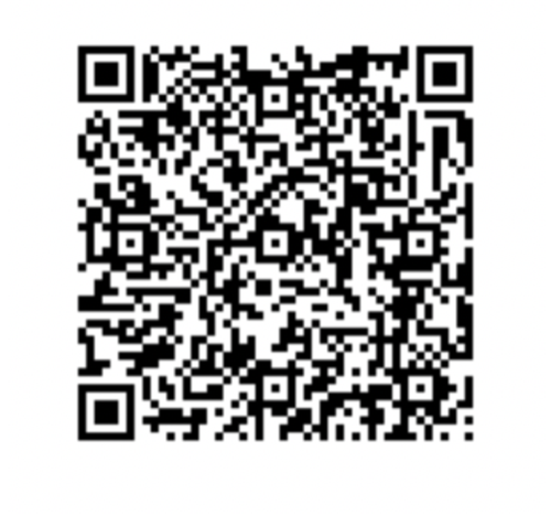 QR code to donate to Power Their Potential